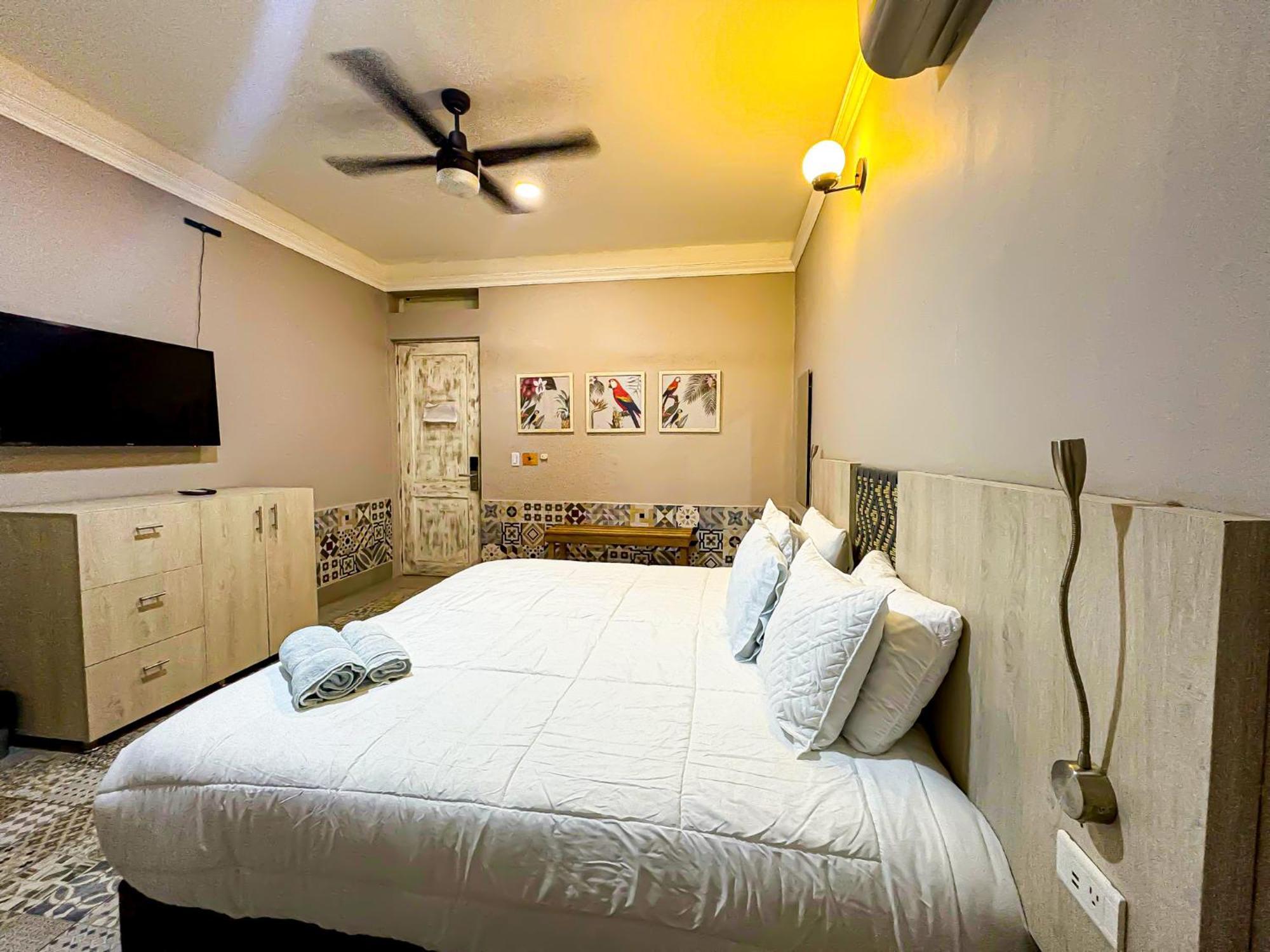 Casa Avelina Boutique Hostel - Santa Marta (Magdalena) — Fotos 2